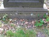 image of grave number 156581